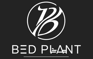 Bedplant